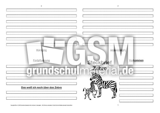 Zebra-Faltbuch-vierseitig-4.pdf